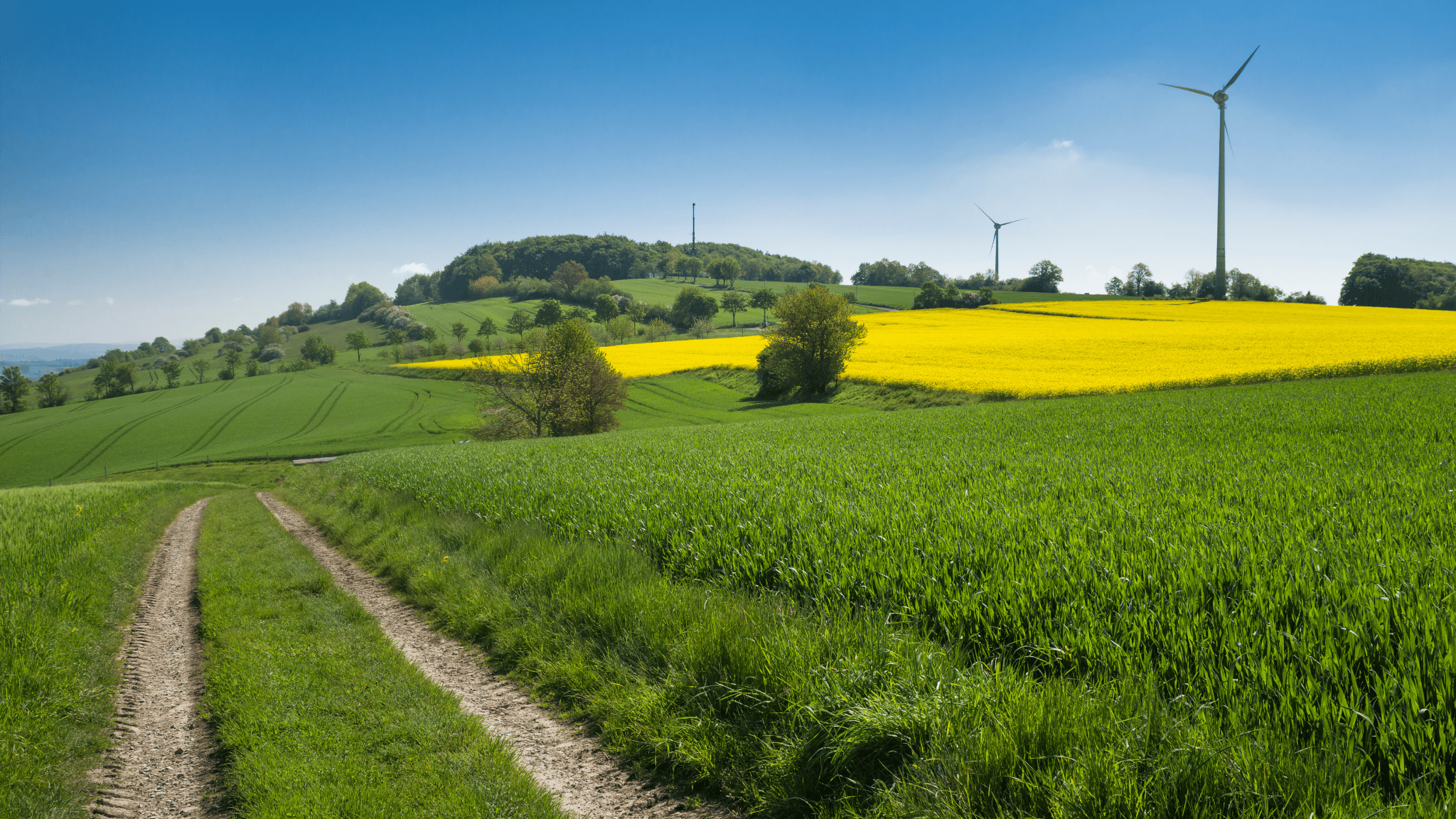 Hintergrundbild in Helmstedt